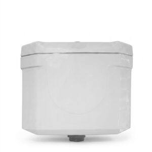 Flush Tanks